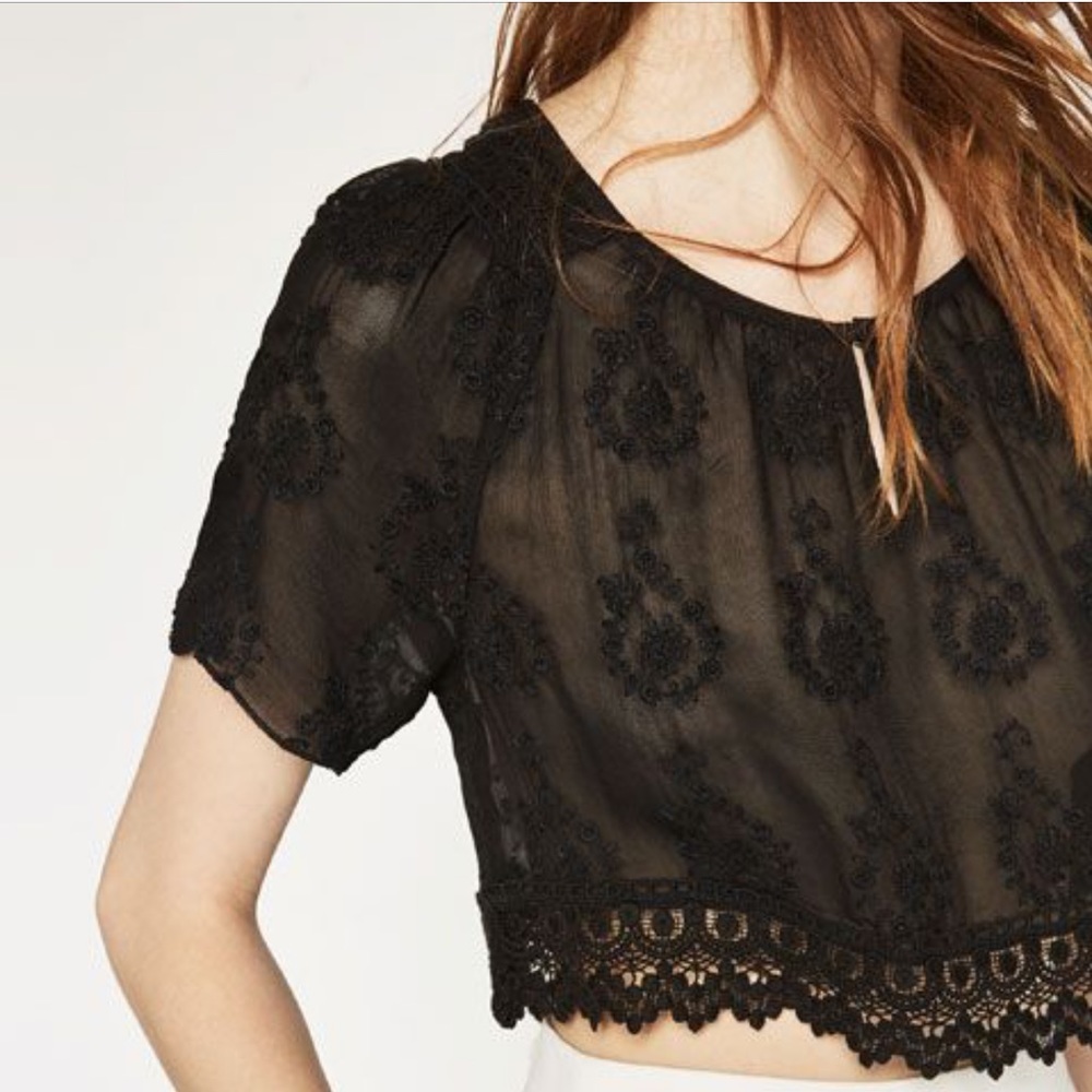 Zara Premium collection Black Lace Crop Top